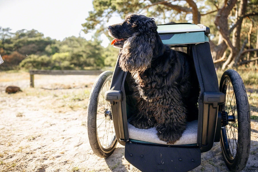 Bexey Dog Bed - Medium