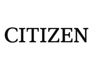 CITIZEN - Permanent adhesive - perforated - 4 in x 6 in 3000 label(s) (12 roll(s) x 250) labels RDT4-400600-1P