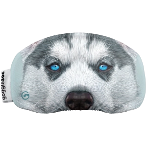 Husky Soc
