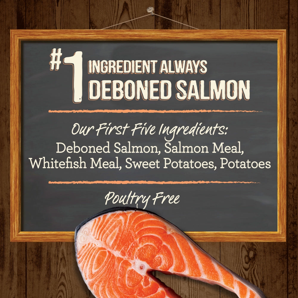 Merrick Grain Free Real Salmon & Sweet Potato Recipe Dry Dog Food